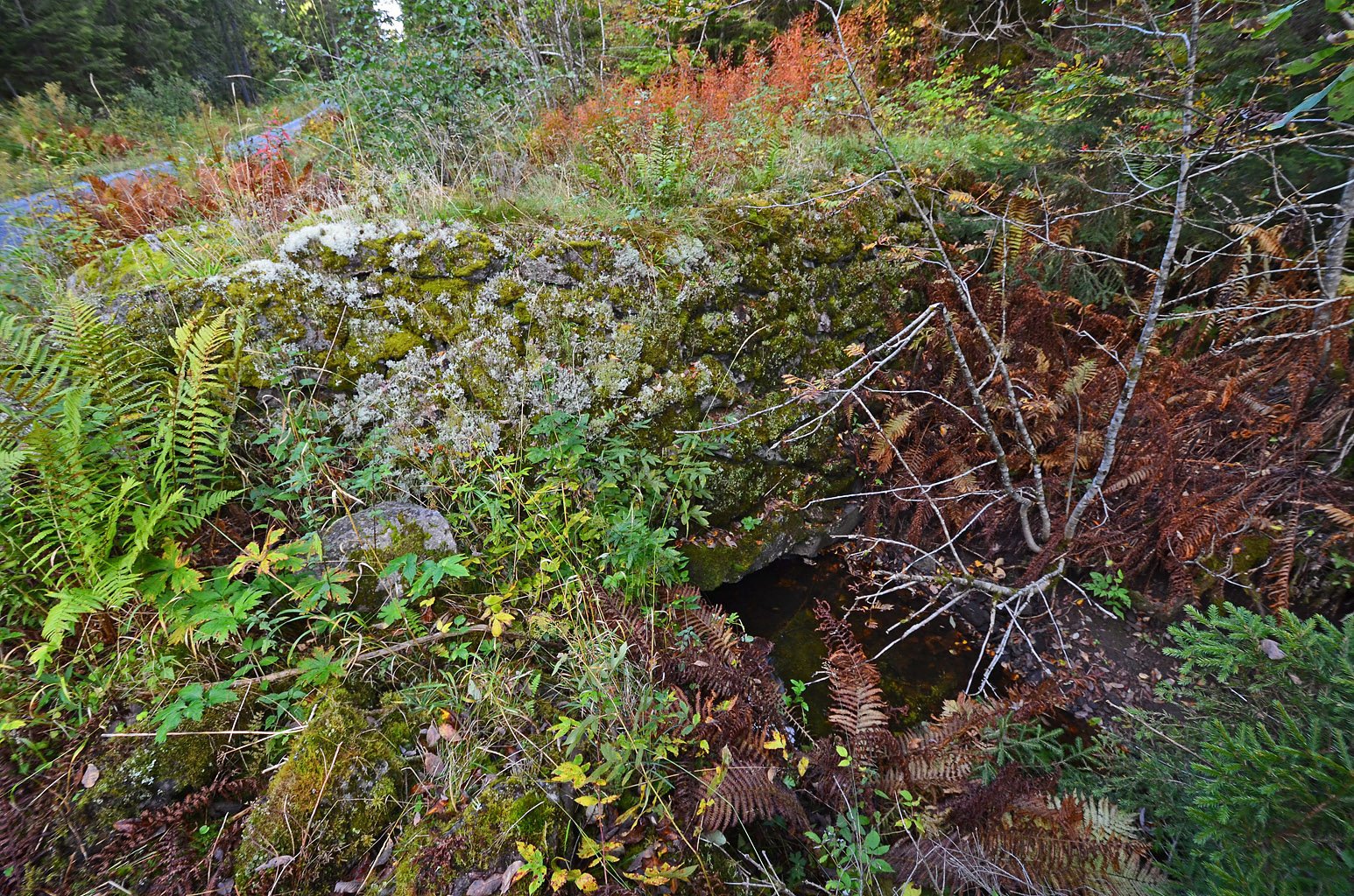 Sundvolden Møllebrug: Demningen ved Nordsetertjern