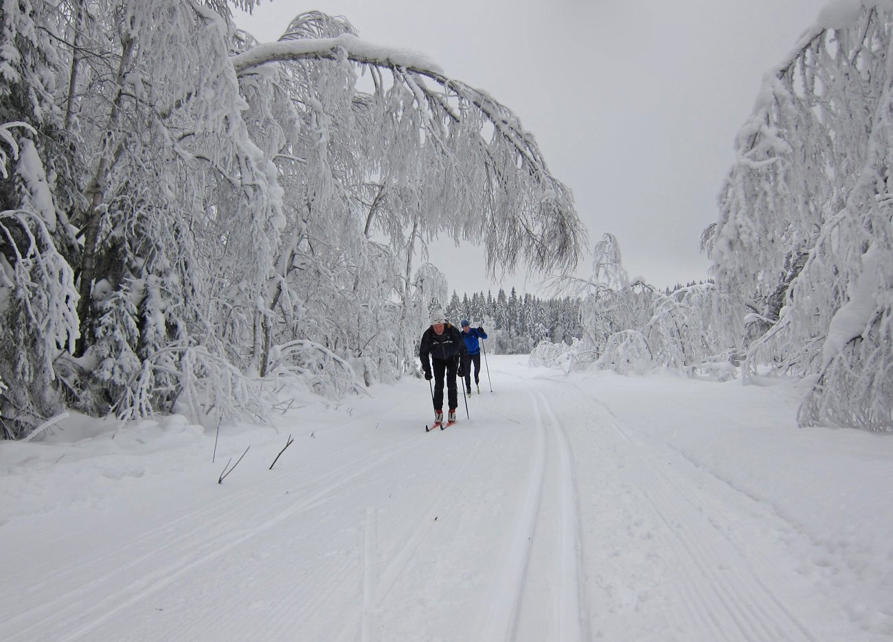 Super glid ved Retthelltjern