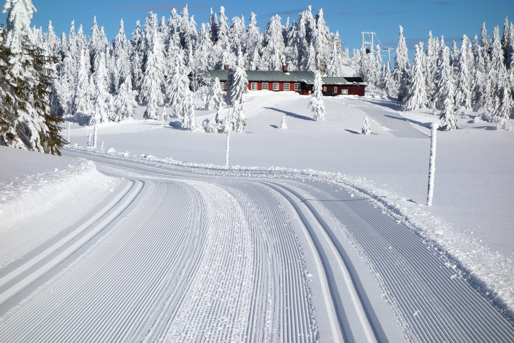Supre forhold på Totenåsen