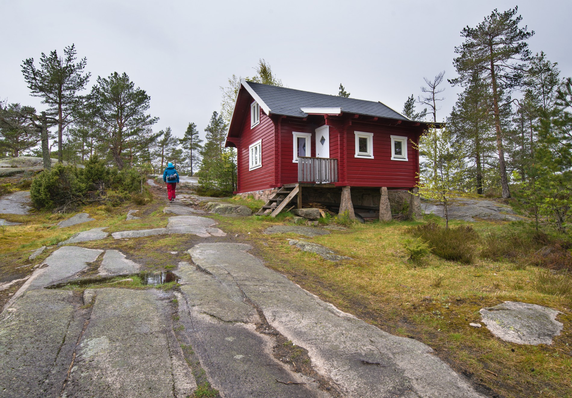 Sur maidag ved Wentzelhytta