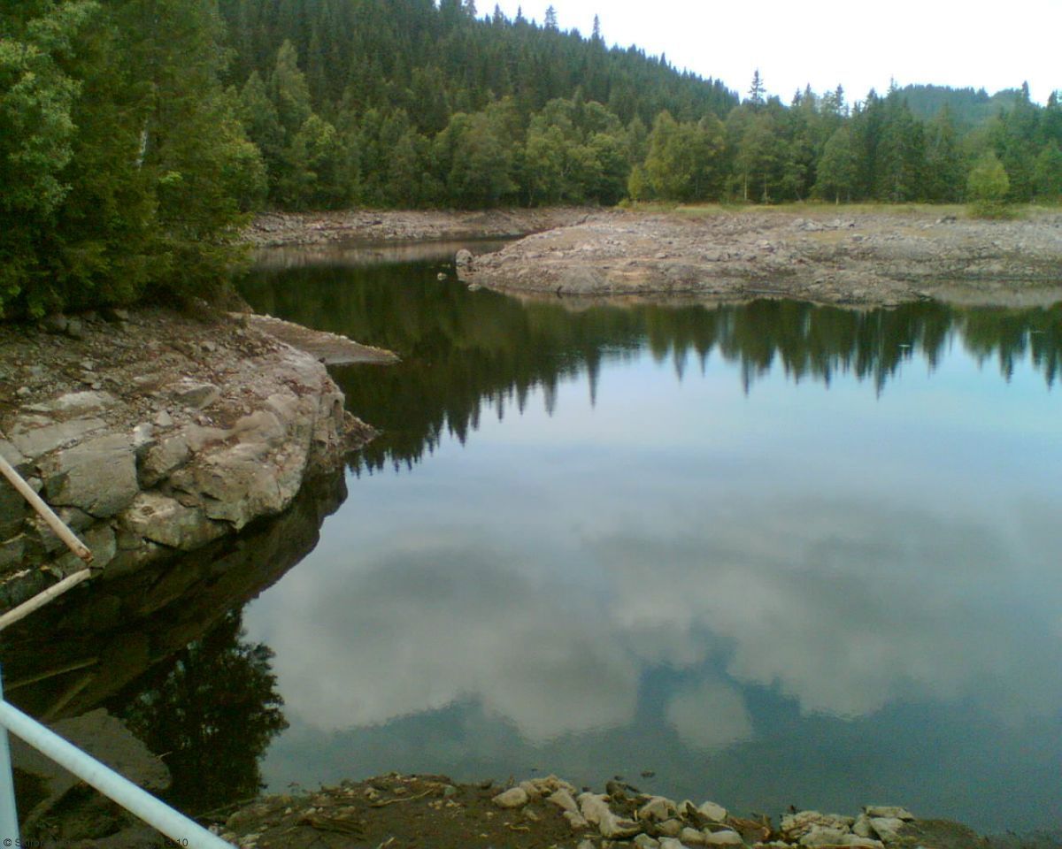Svarten er i sommer ikke hva den var (2)