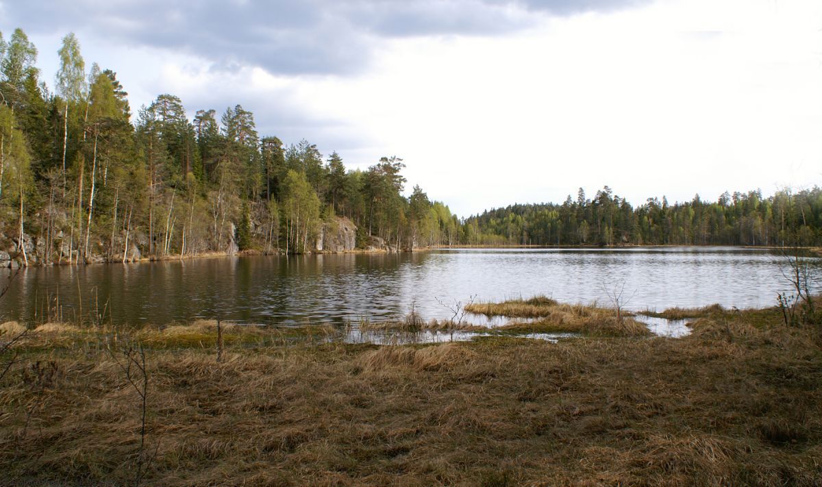 Svartkulp sett fra nordsiden