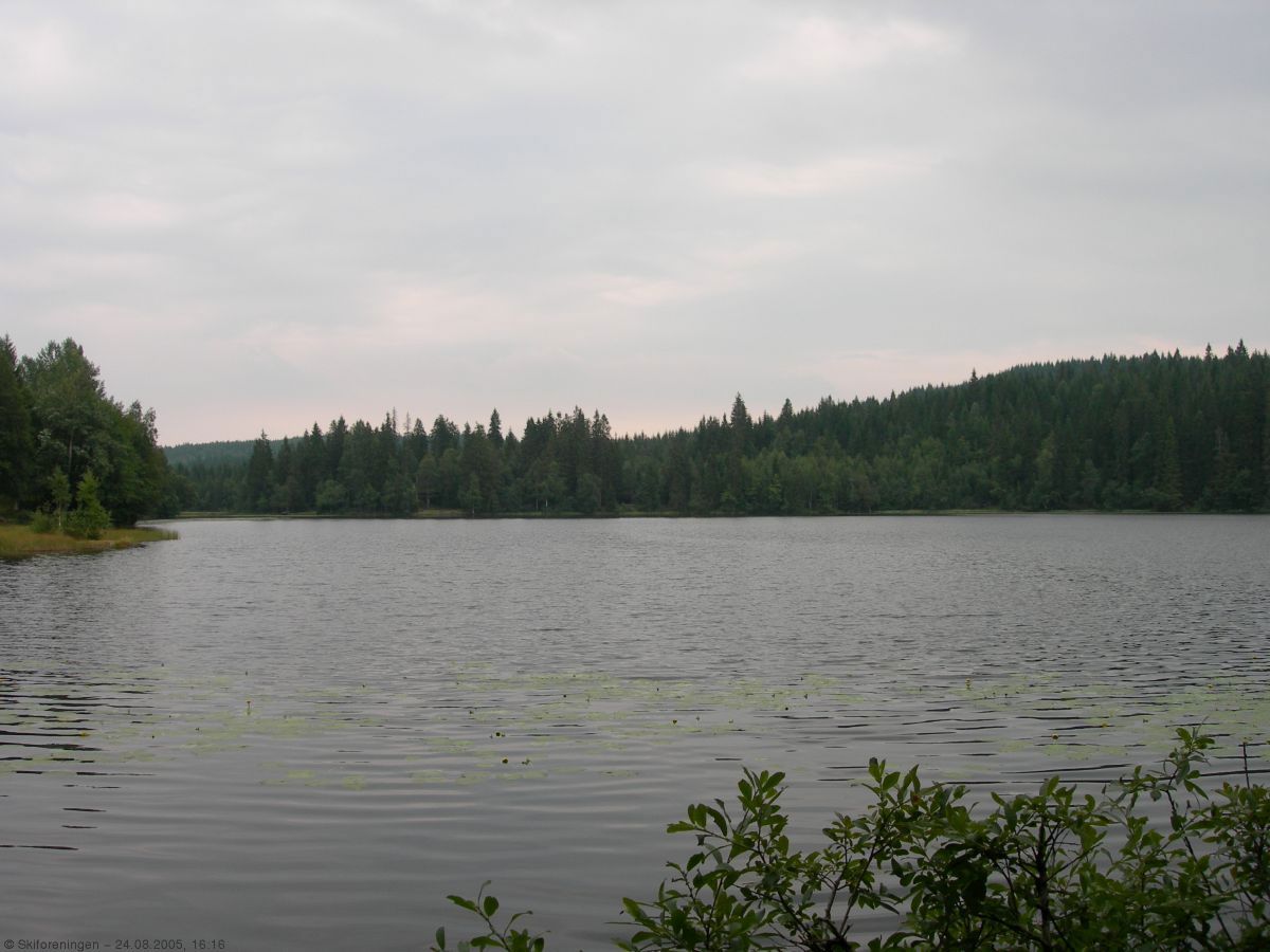 Svartvann i Vestmarka