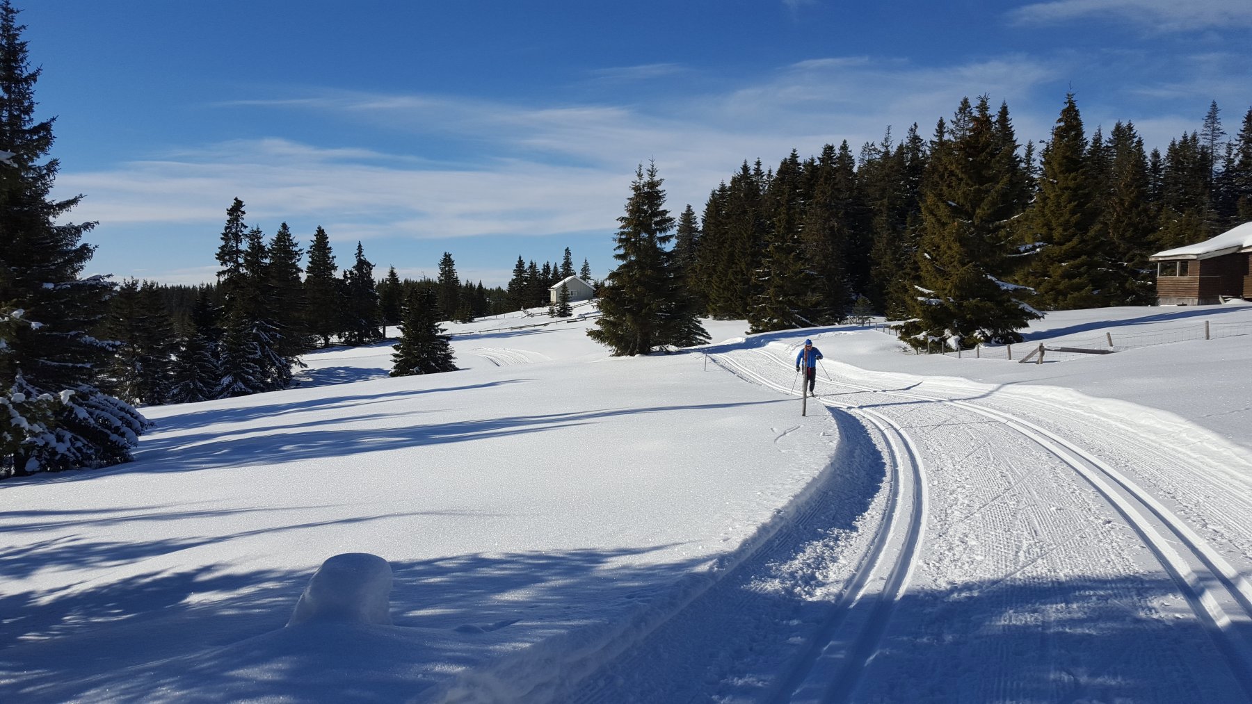 Sveraseter badet i solskinn