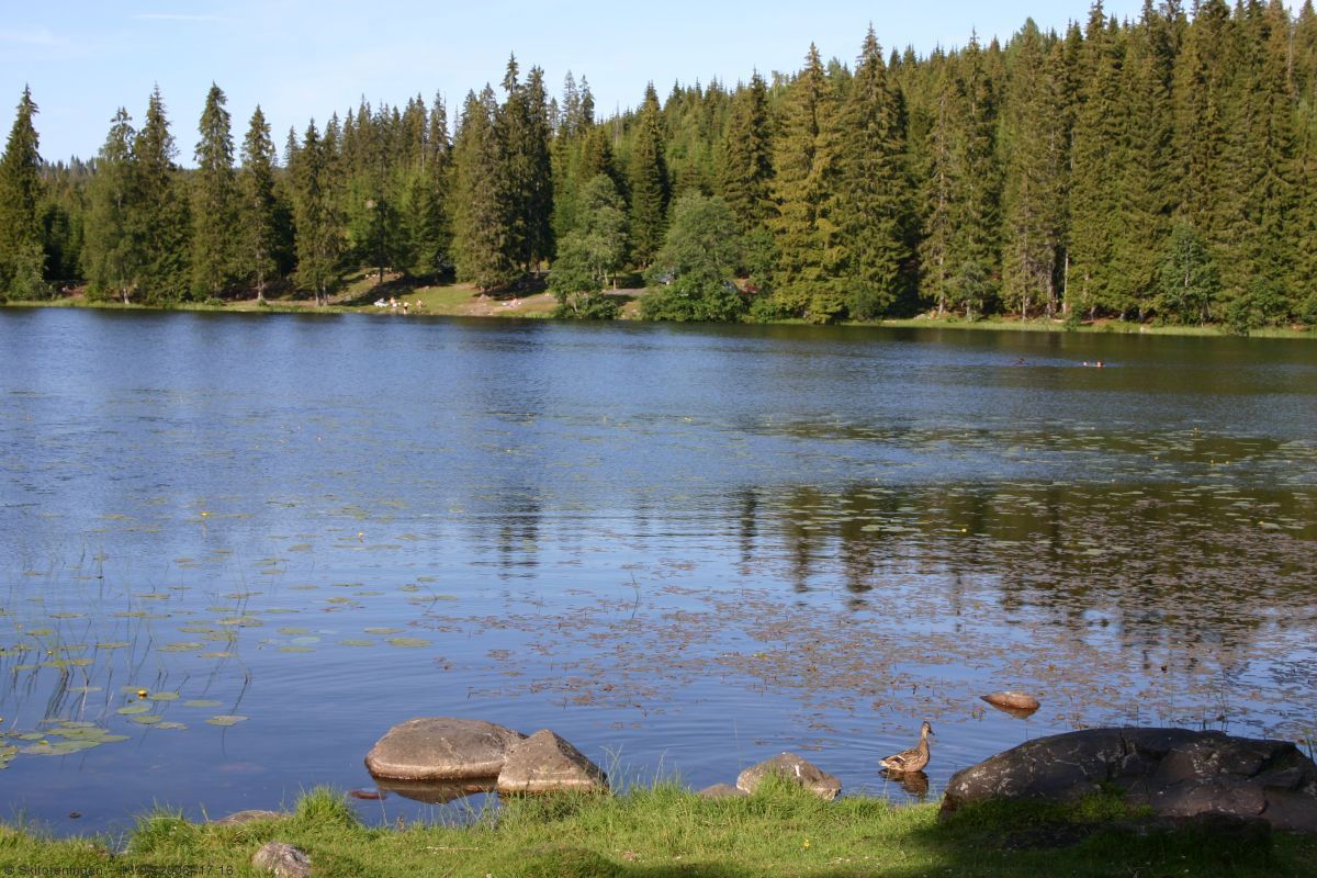 Svømmetur i Asdøltjern