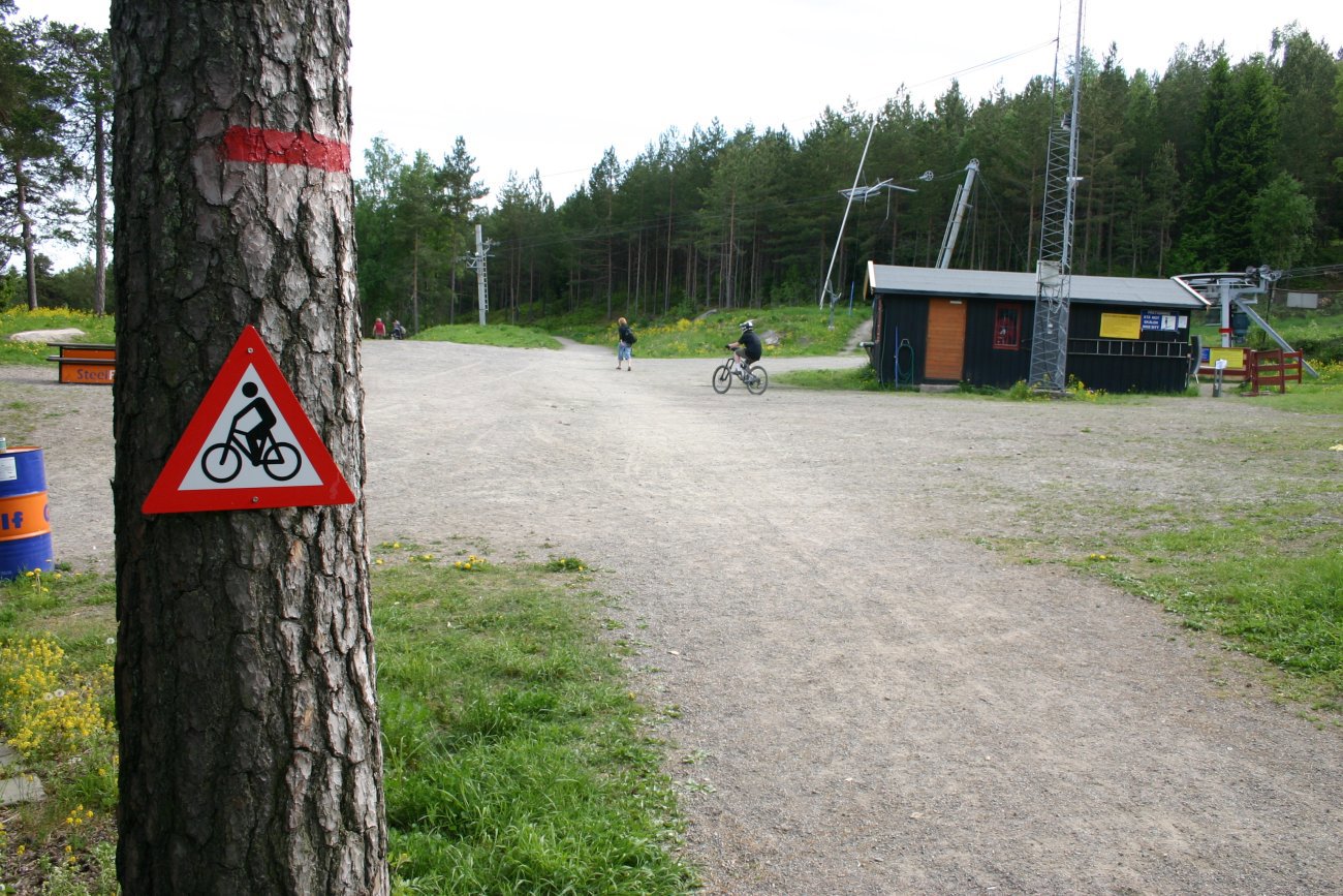 Sykkel i alpinbakken