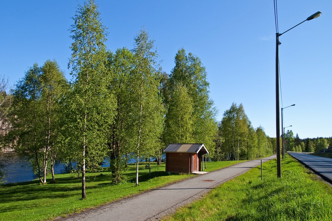 Sykkelstien ved Damtjern