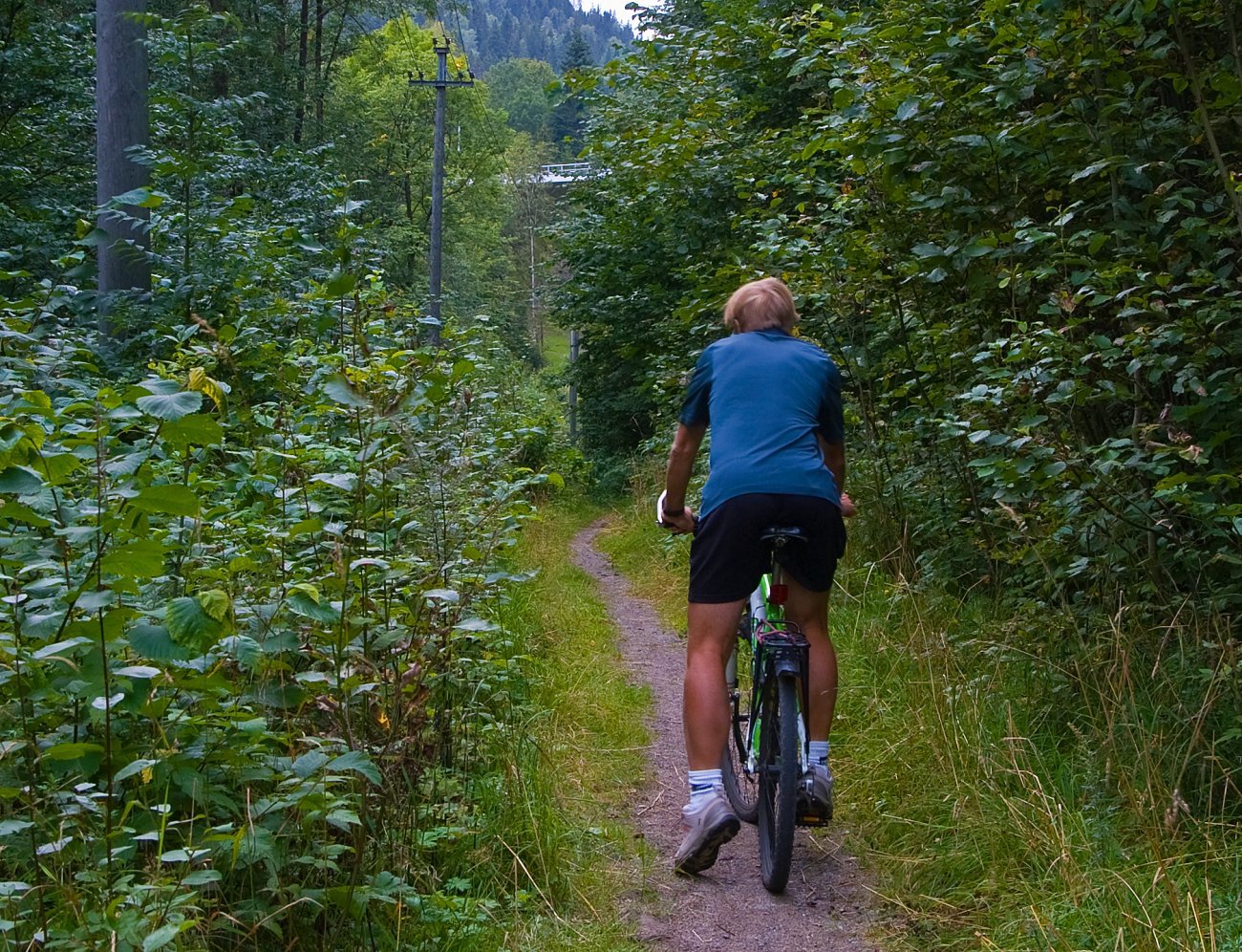 Sykling gjennom Bjørumdalen