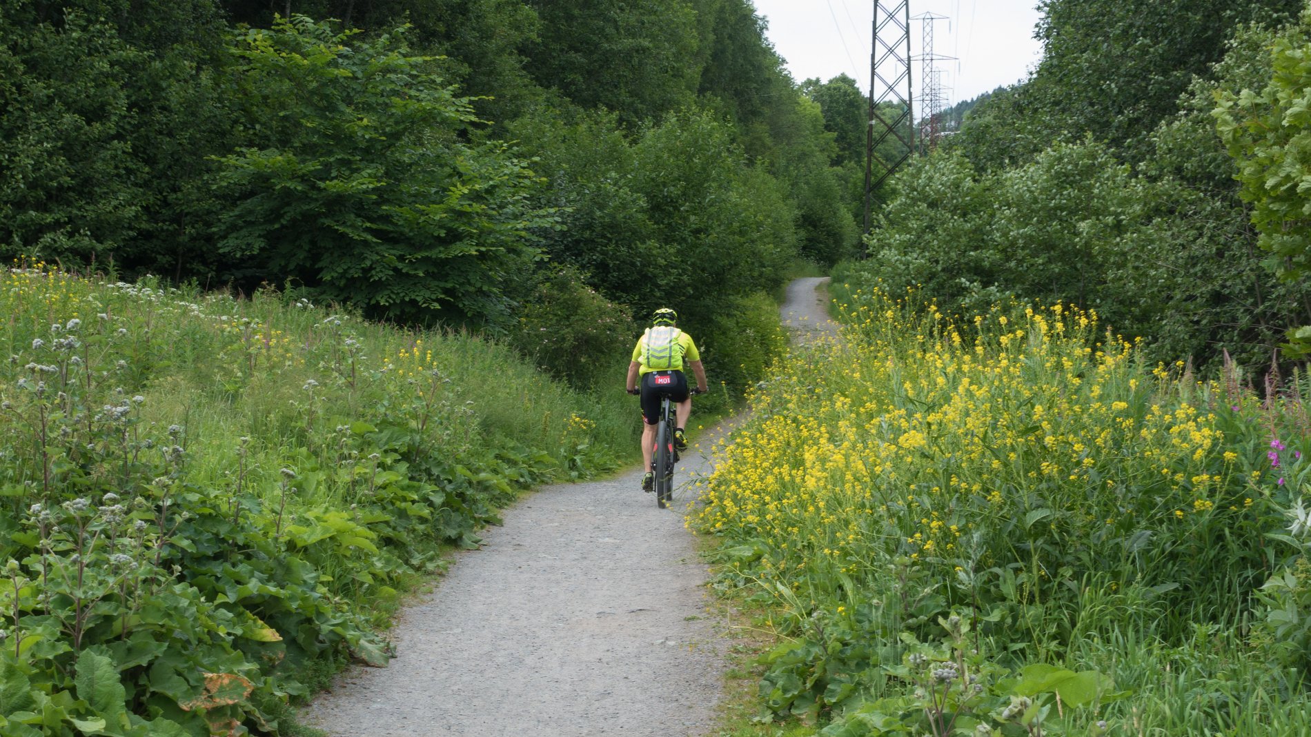 Sykling i frodige omgivelser