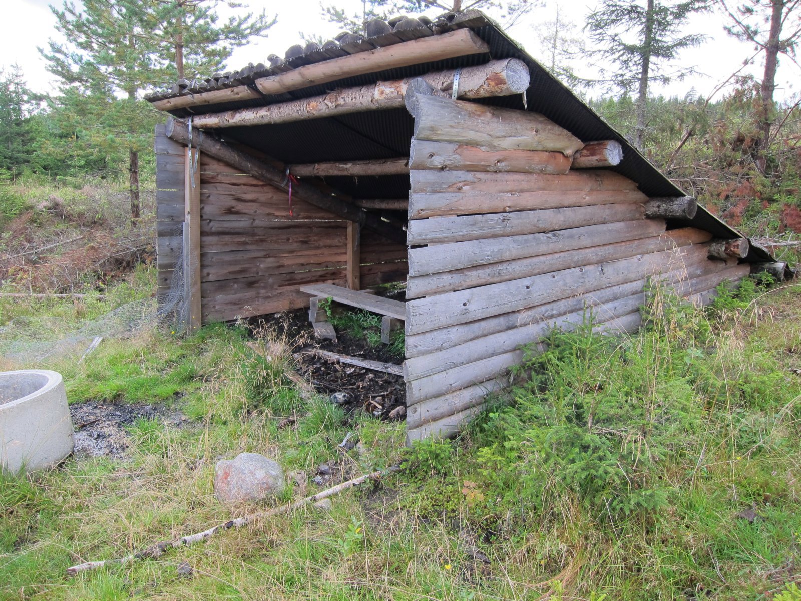 Tak over hodet på Lynesvangen
