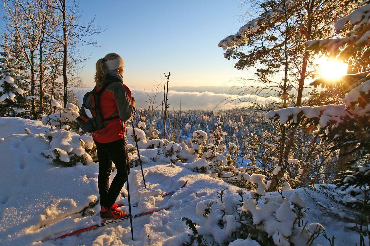 Tåke over Holsfjorden