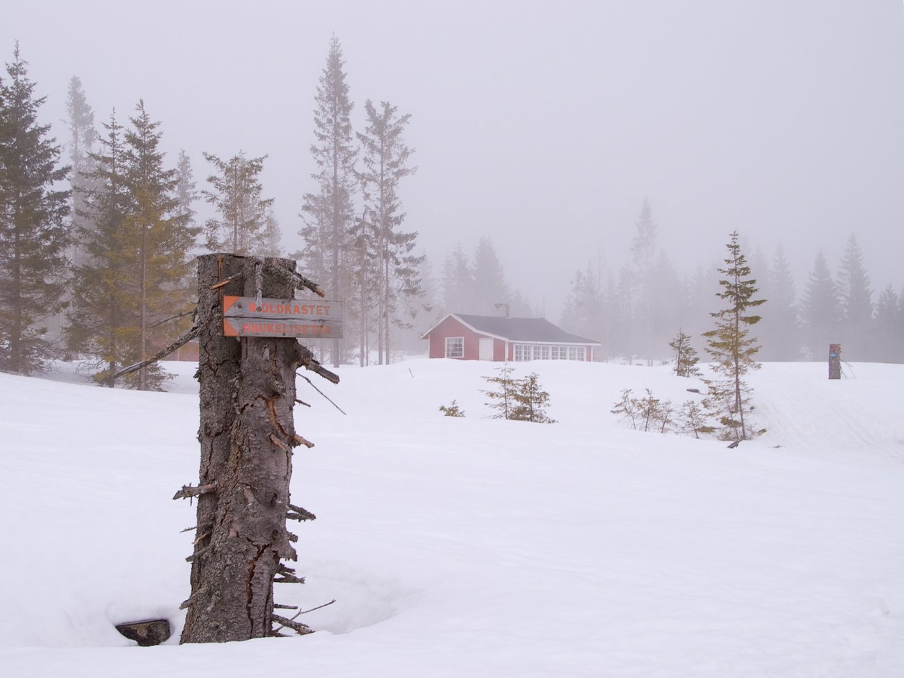 Tåke ved Oppsalsetra