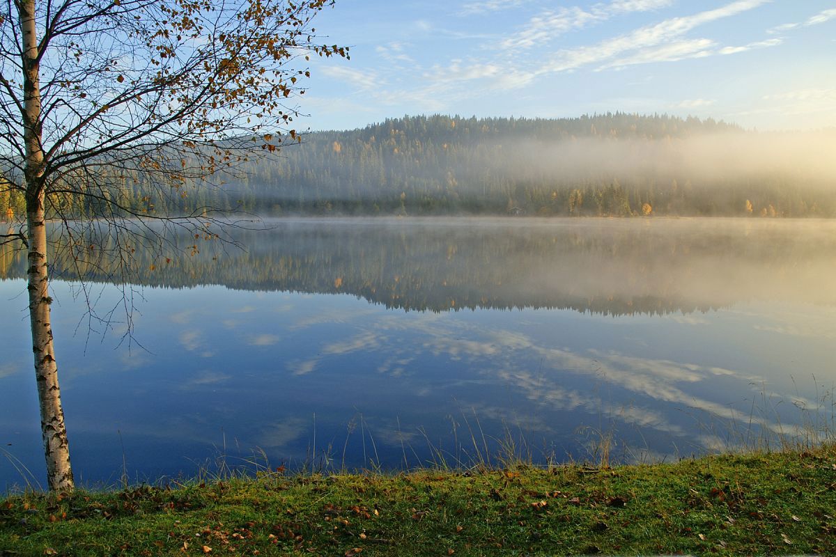 Tåken har lettet fra Damtjern