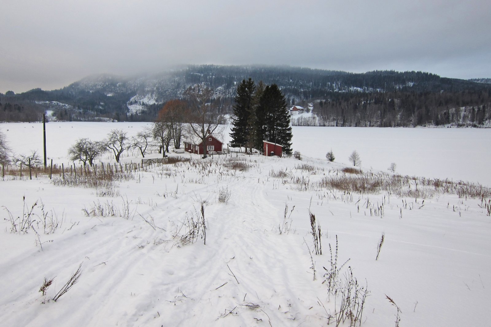 Tangen ved Semsvannet