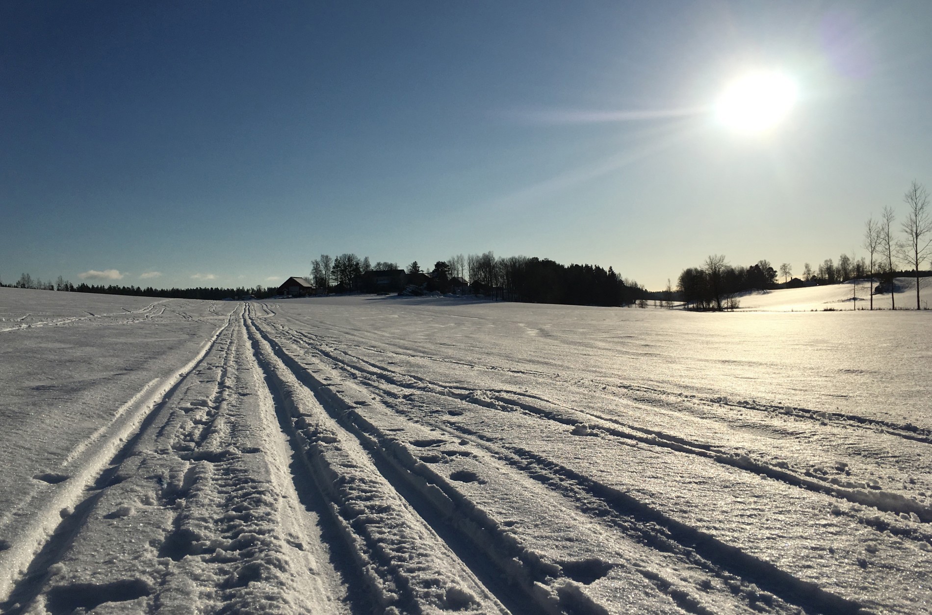 Tannumjordene i motlys