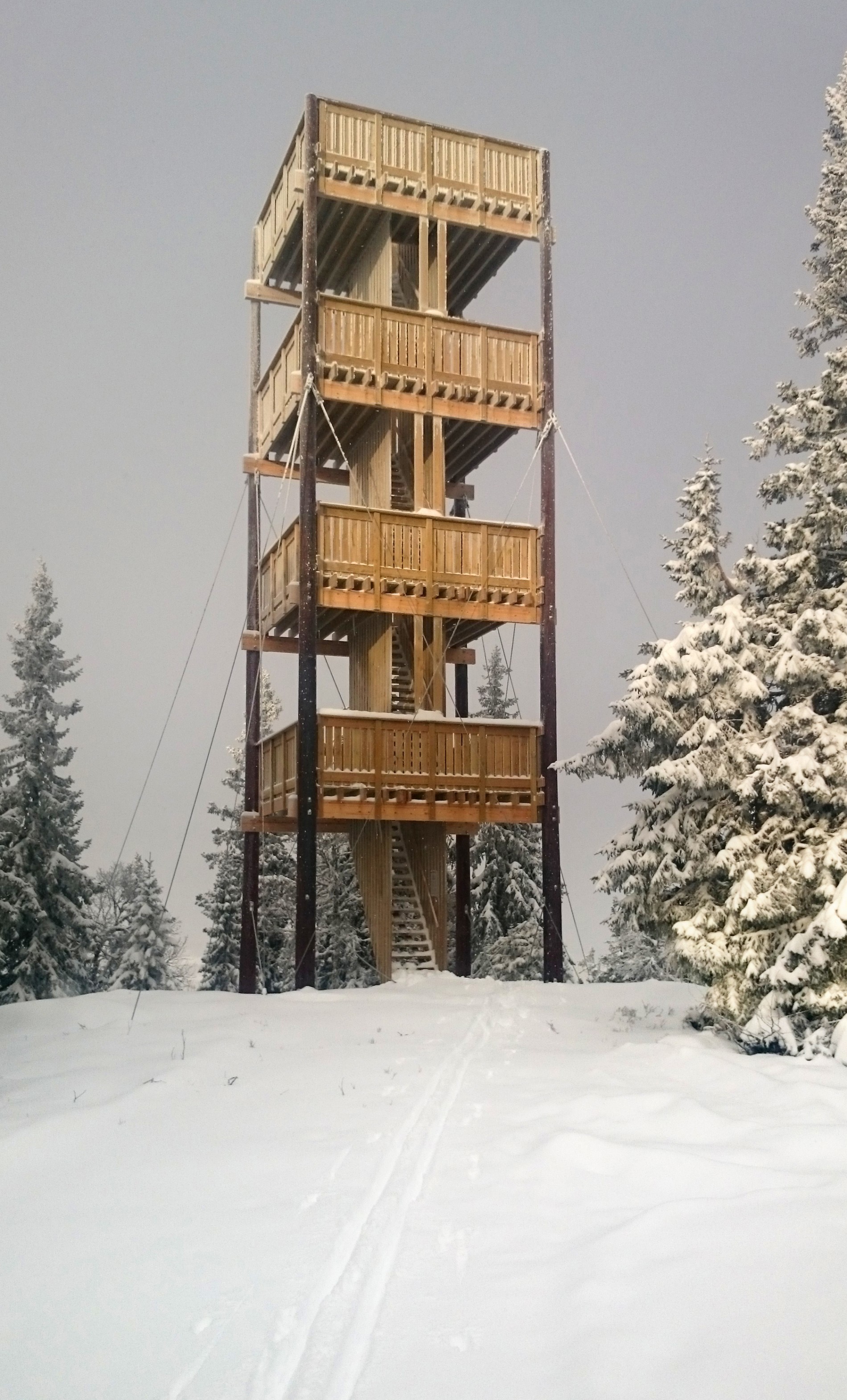 Tårnet på Lushaugen