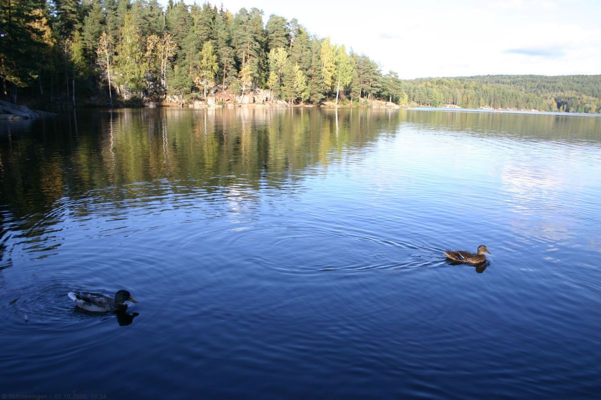 Tegn til høst ved Nøklevann
