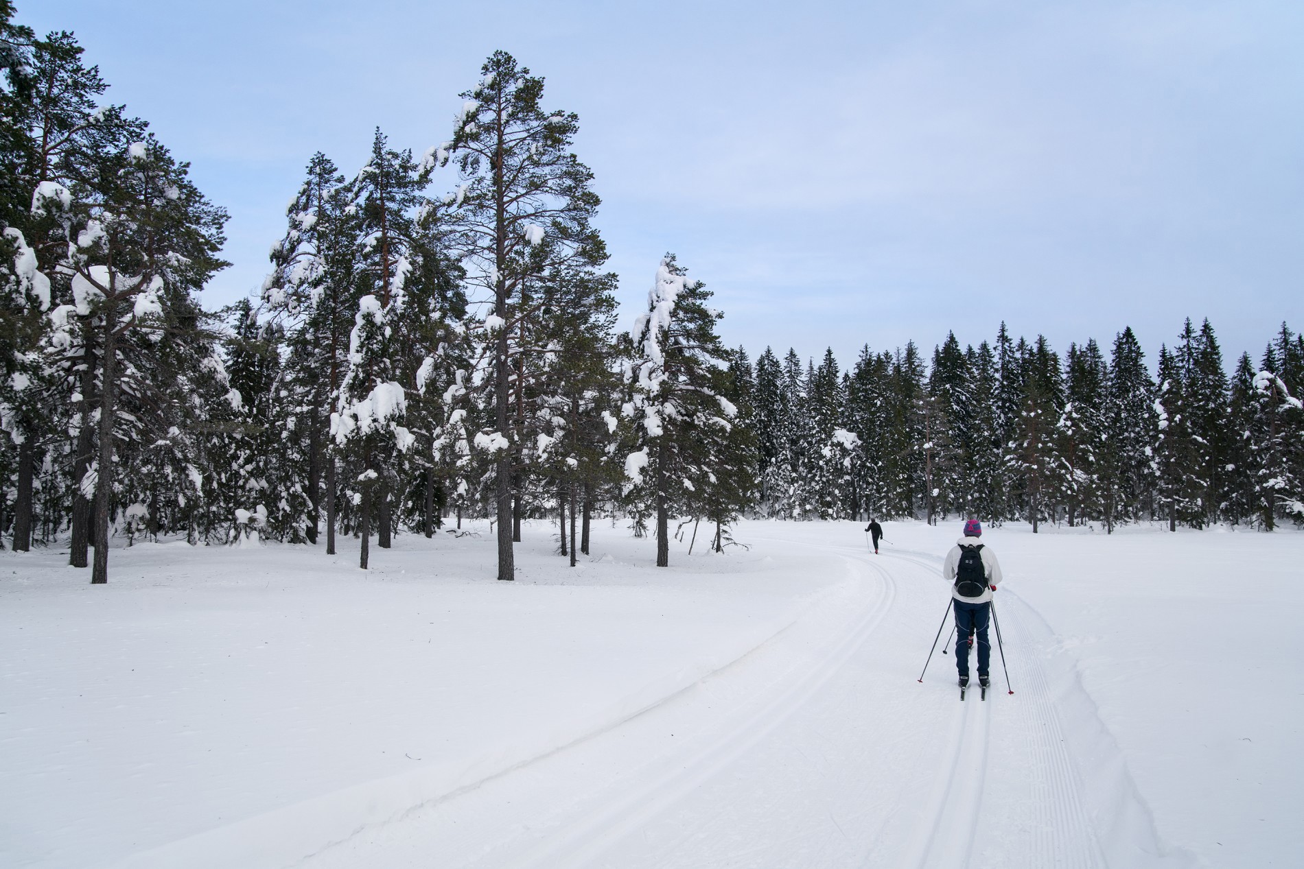Tendens til blå himmel