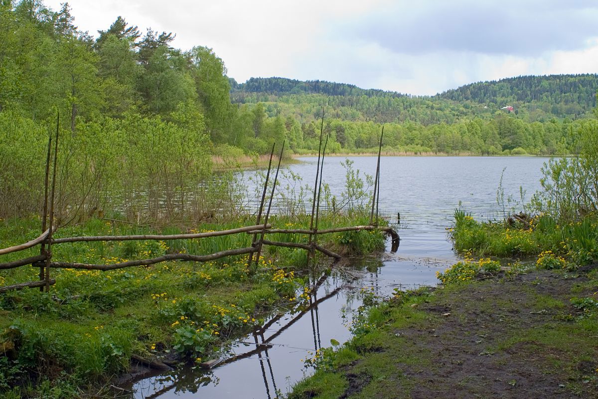 Tid og sted for seljefløyte