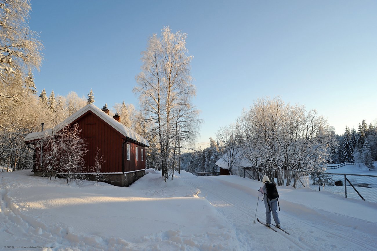 Tidlig februar ved Skjærsjødammen