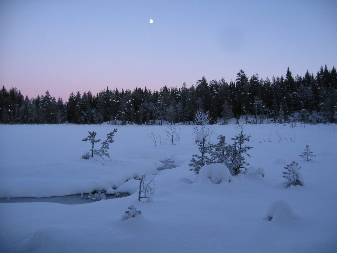 Tidlig kveld ved Vestre Aurtjern