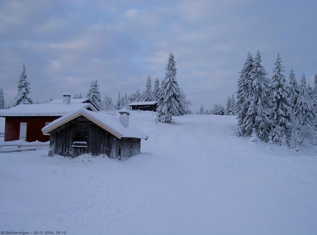 Tidlig morgen på Sørsetra
