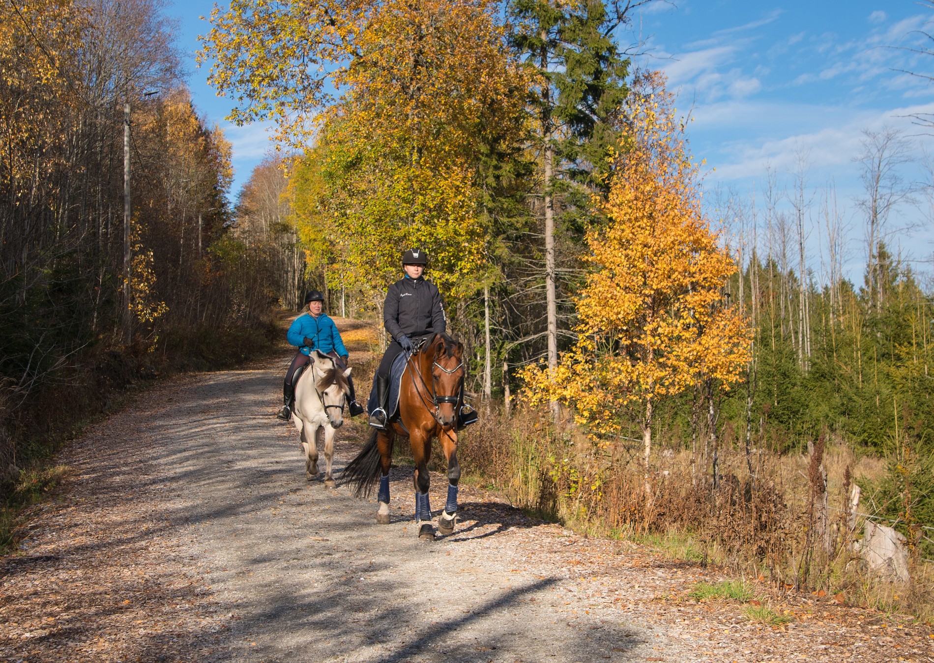 Til hest på flott høstdag