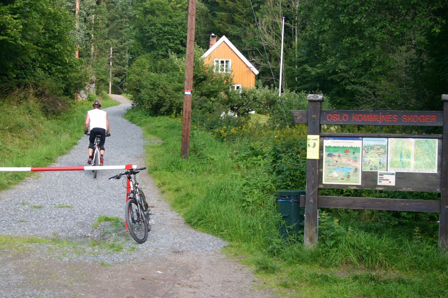 Til skogs fra Dal/Brenna