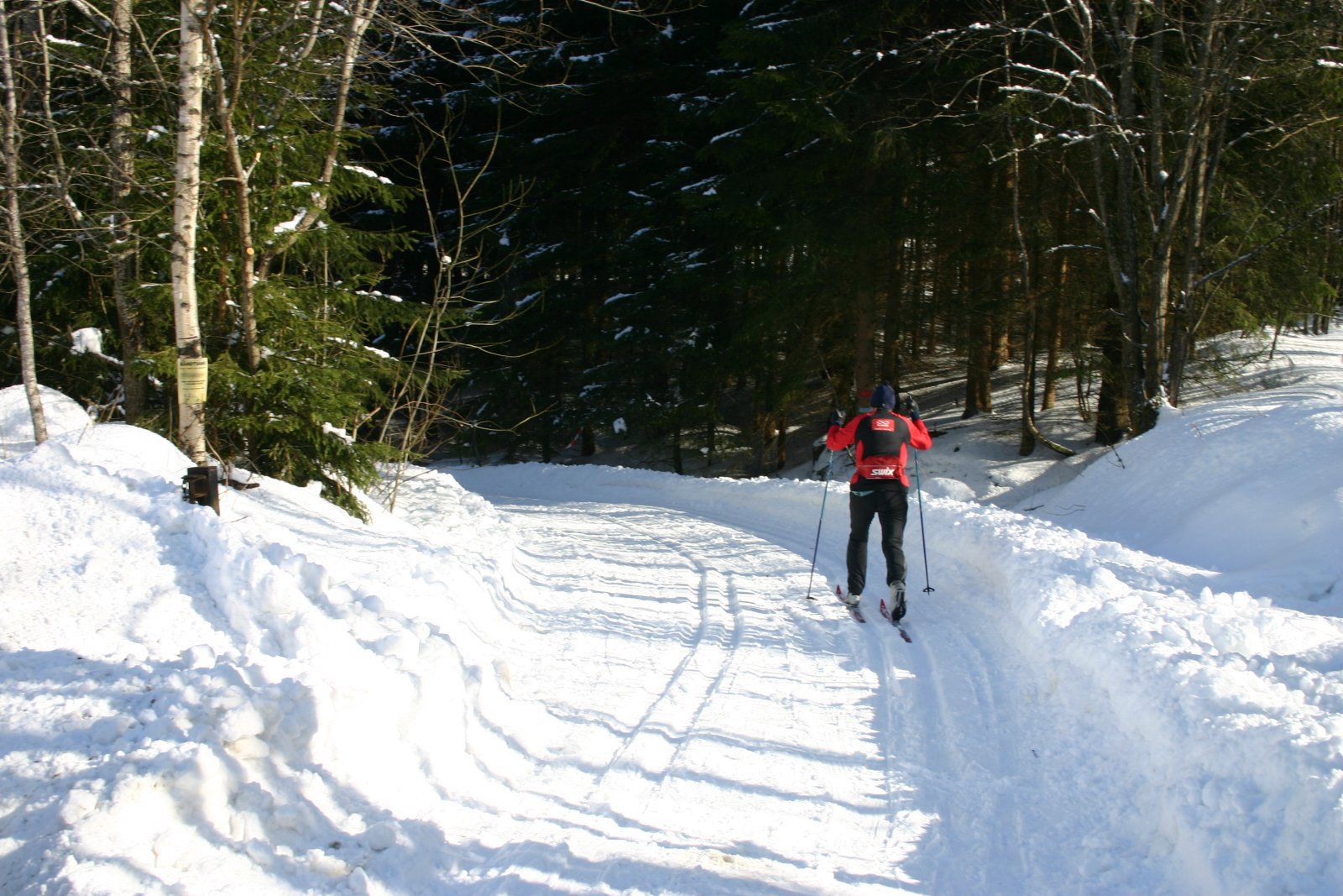 Til skogs fra Granerud