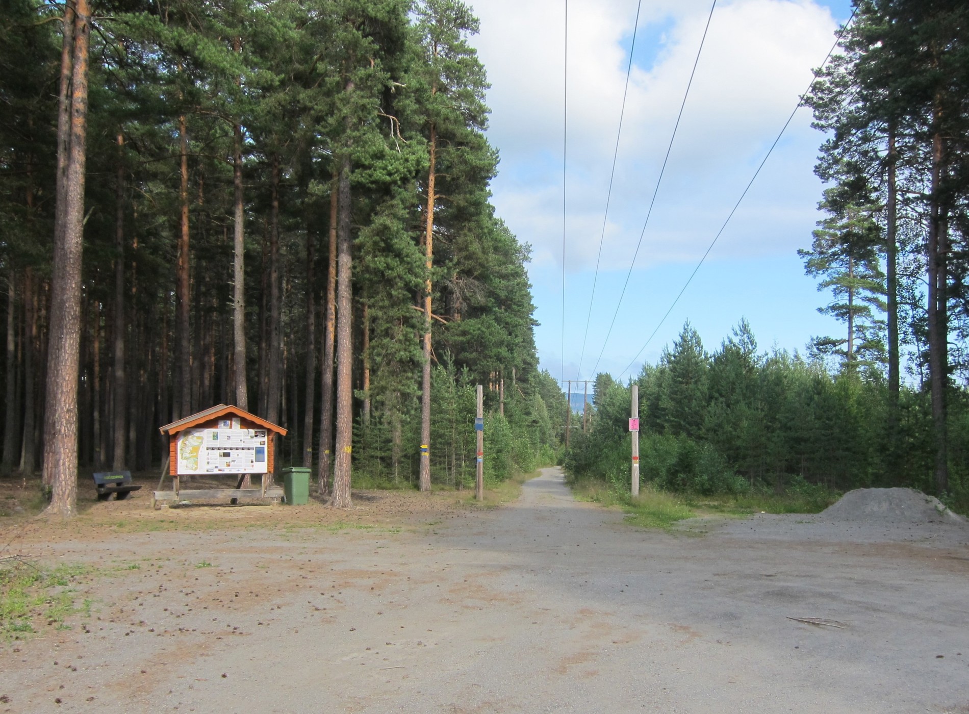 Til skogs fra Helgelandsmoen