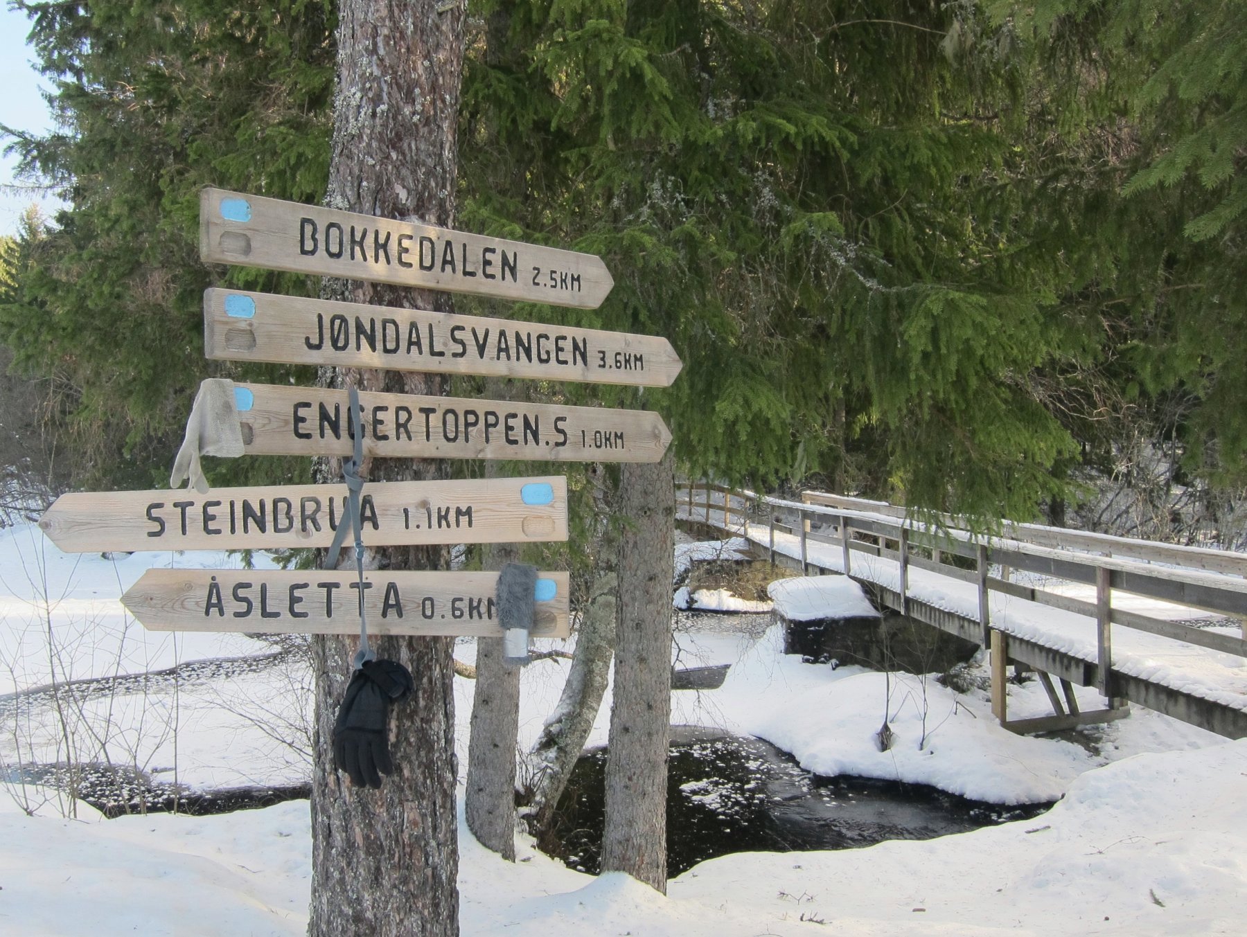 Til Styrimarka fra Februa