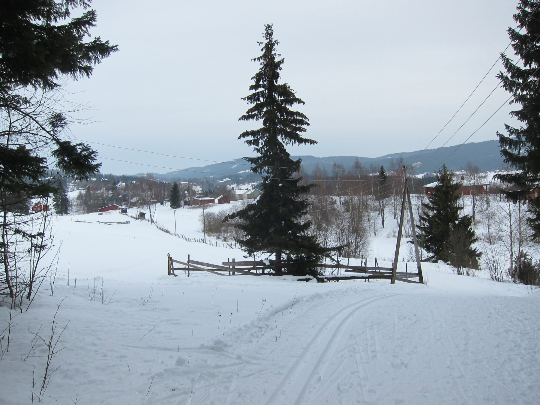 Tilbake gjennom lysløypa