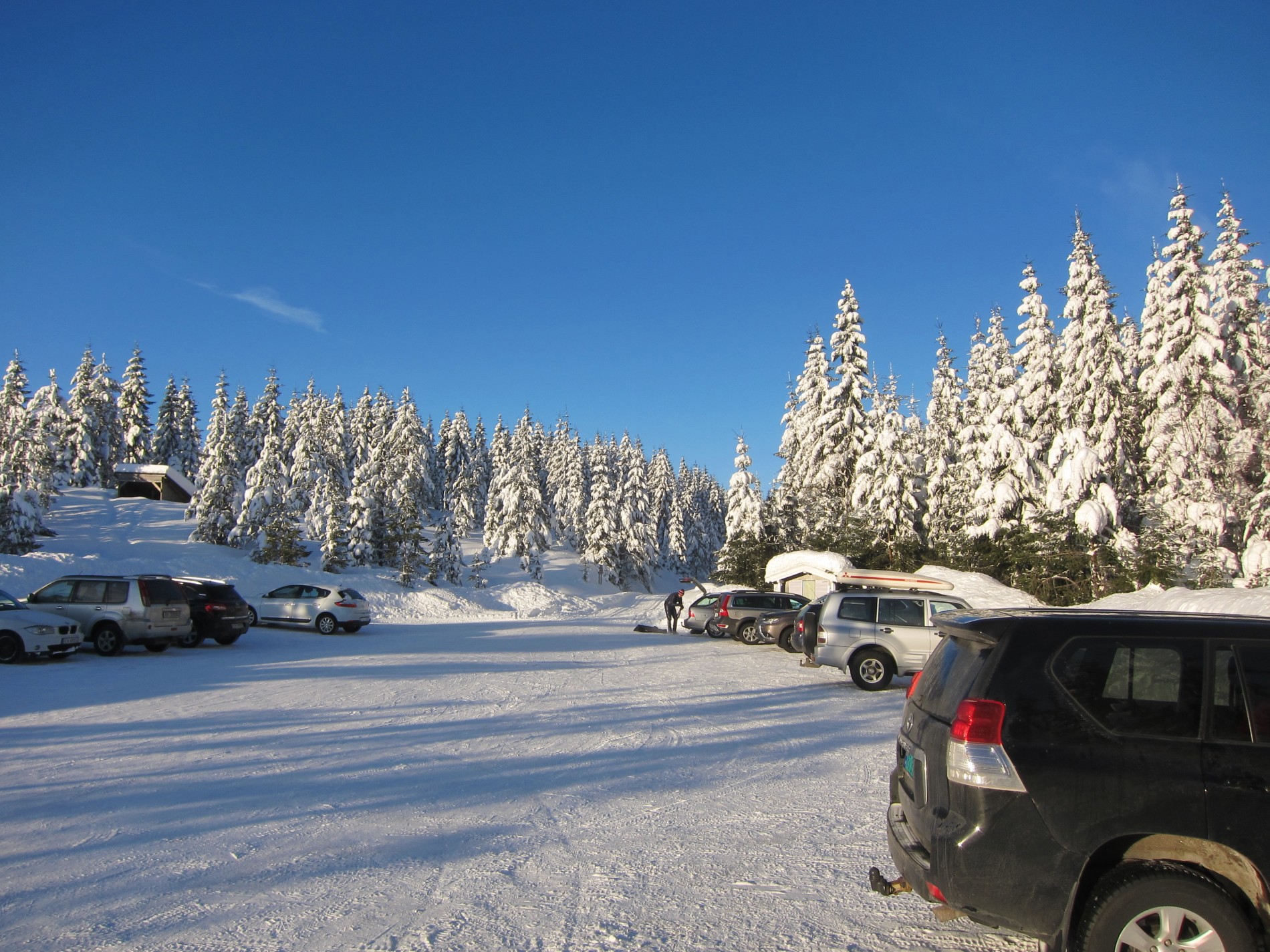 Tilbake på Lynesvangen