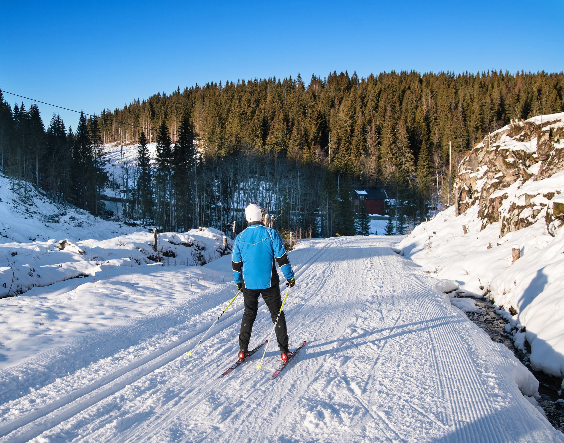 Tilbake til Skoglund