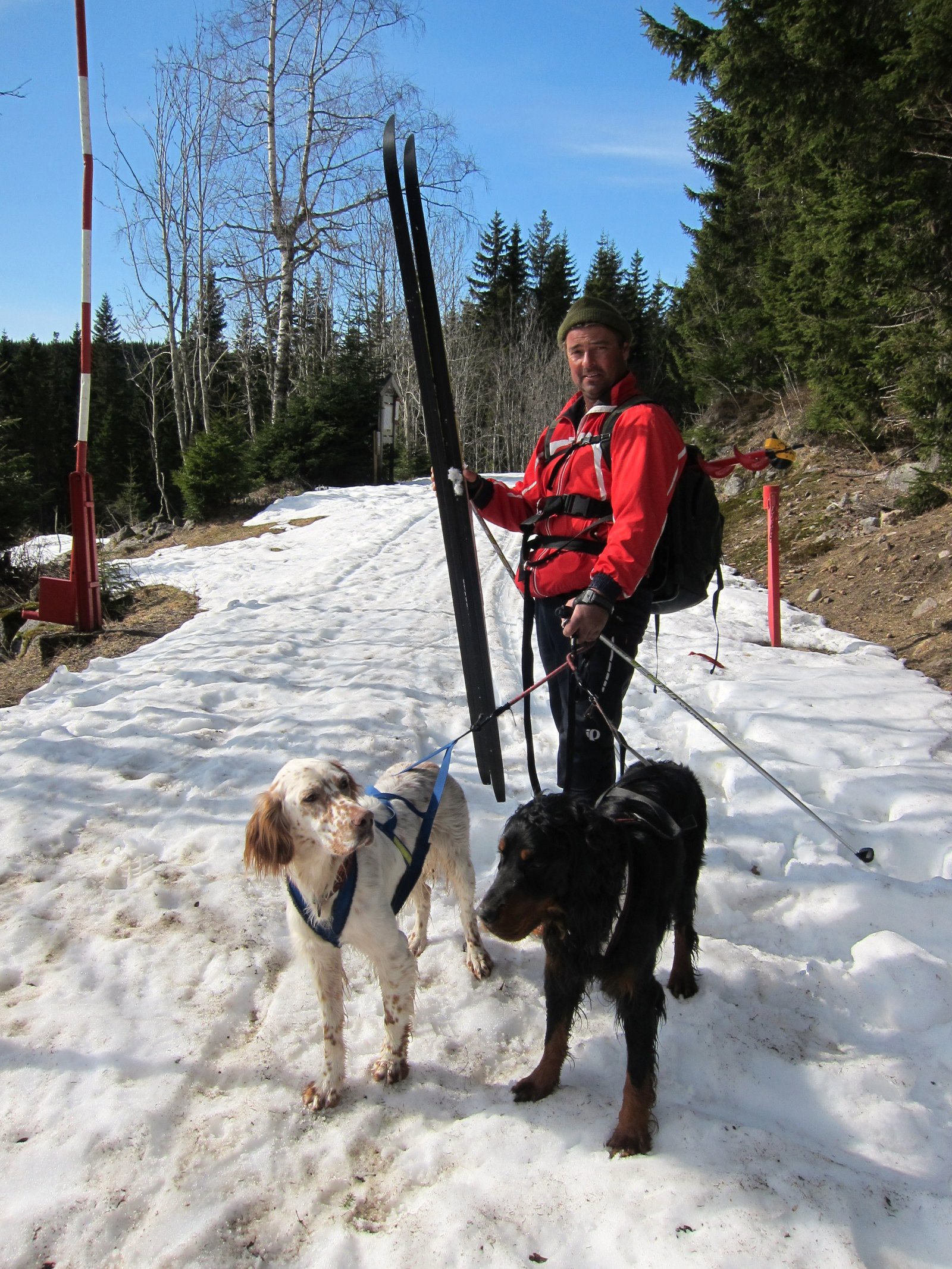 Tilbake ved Gjødingssætra