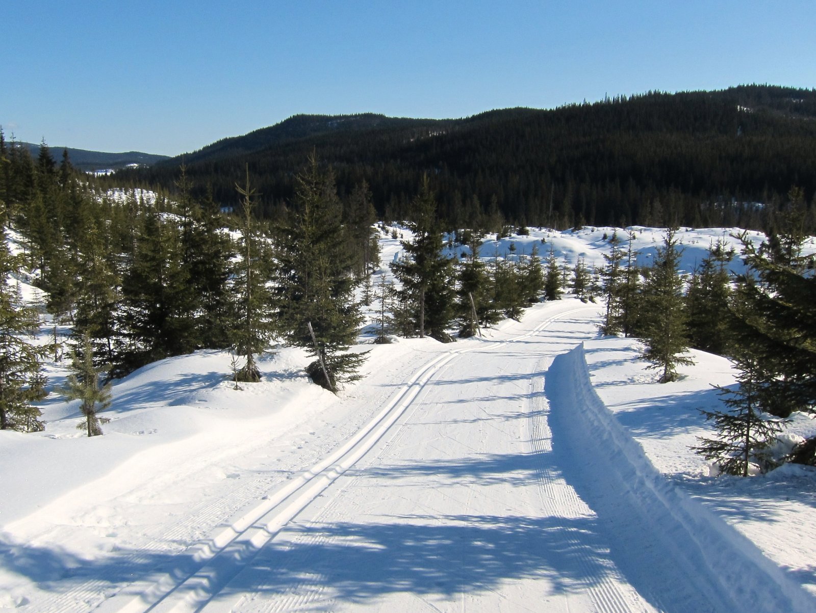 Tilbakeblikk mot Store Svartungen