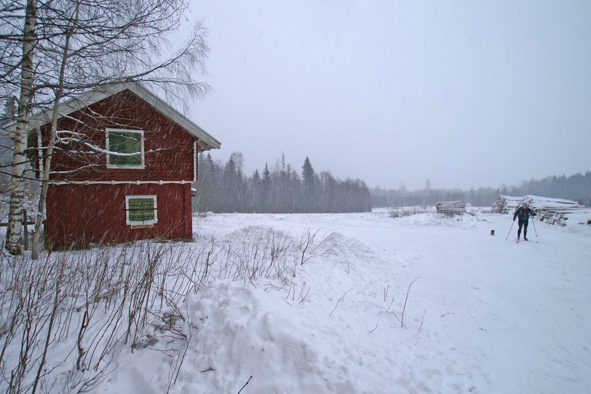 Tiltagende nedbør ved Lund