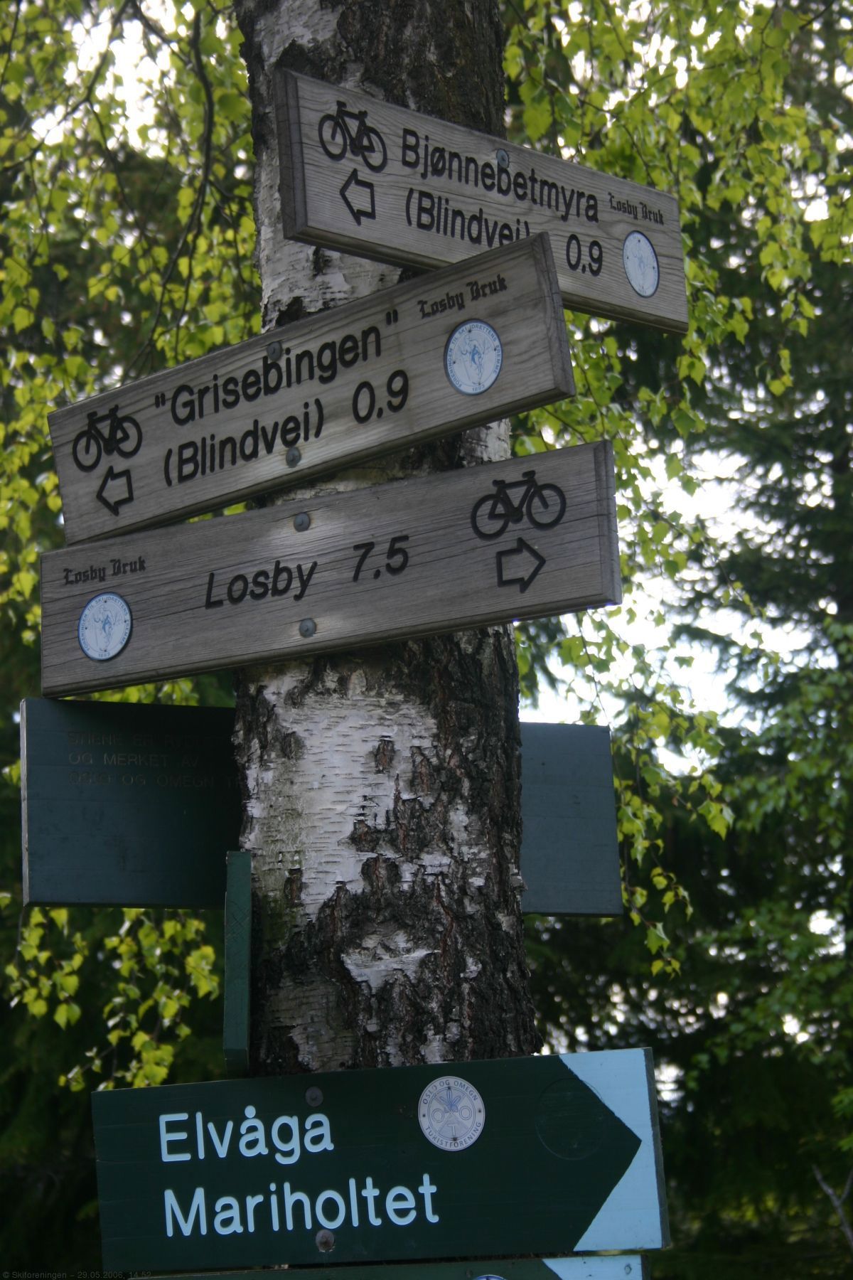 To valg: myr eller grisebinge