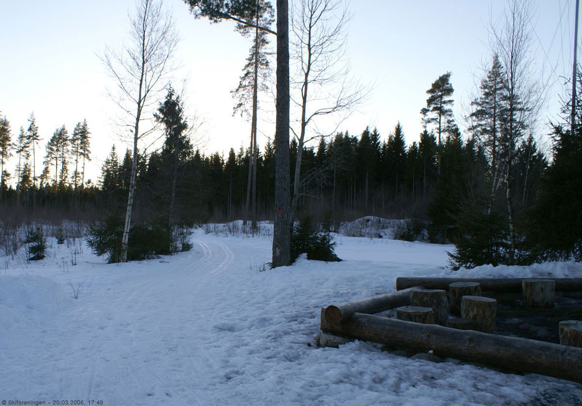Tomme stubber på Trampen