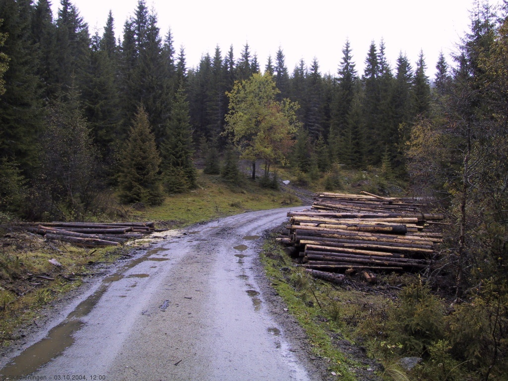 Tømmerdrift i Sinnerdalen