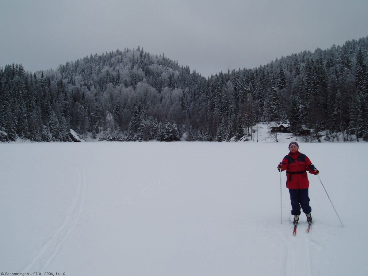 Tonekollen sett fra Luttjern
