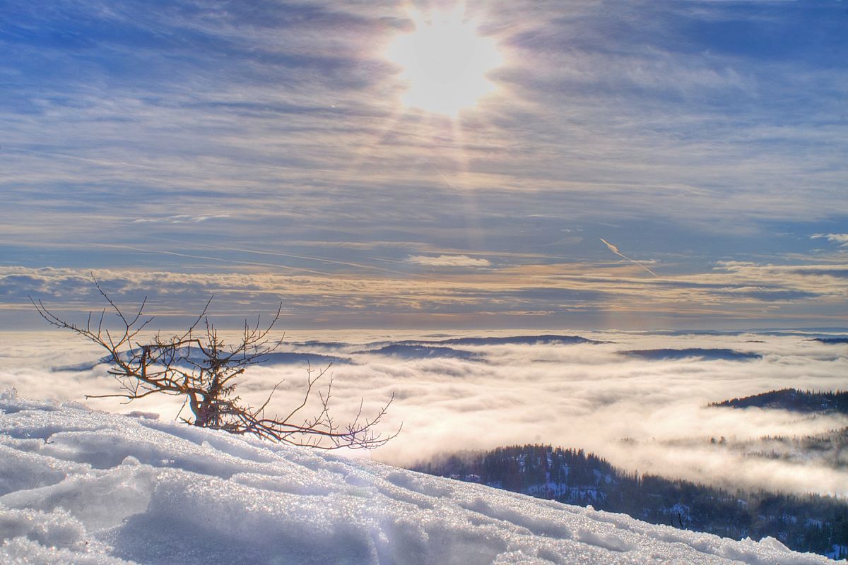 Topper over tåkehav