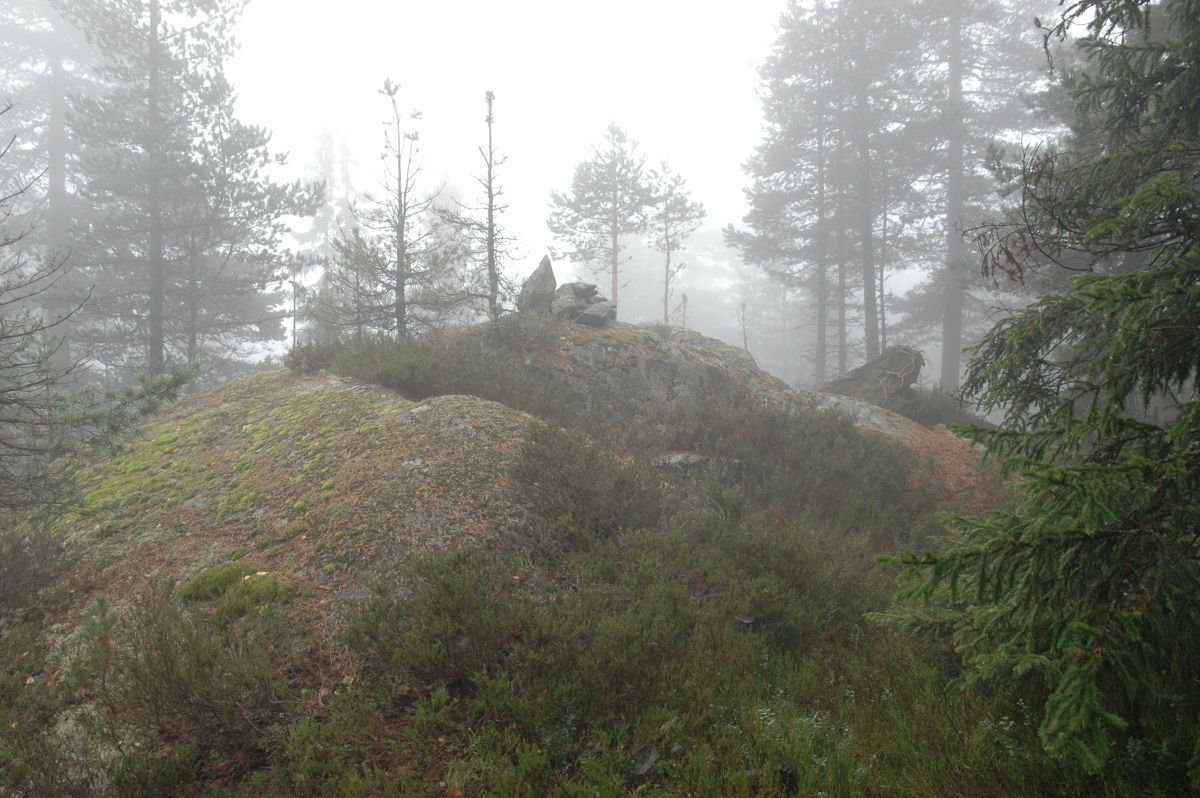 Toppvarden på Barlindåsen