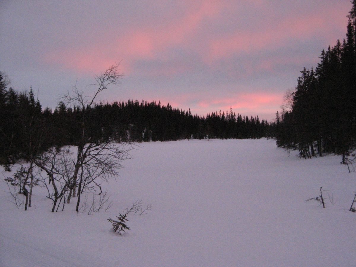 Tørkerudtjern pastell