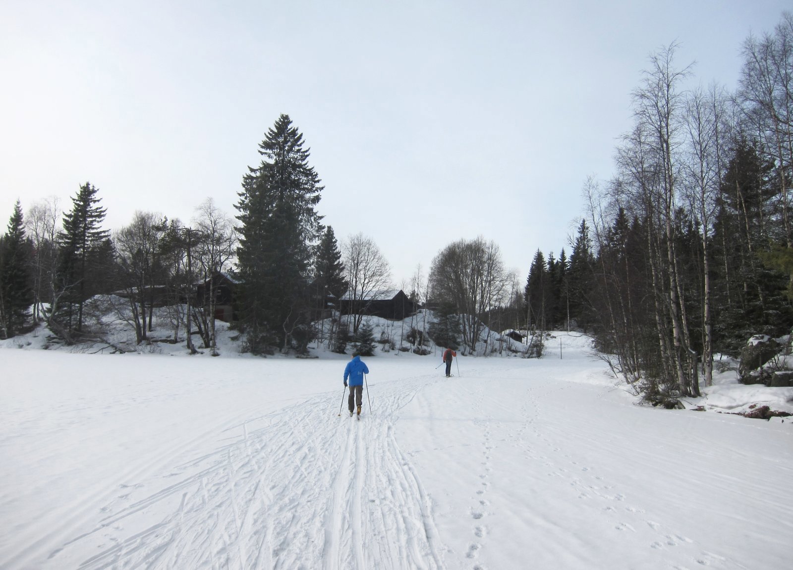 Tørr nysnø i høyden