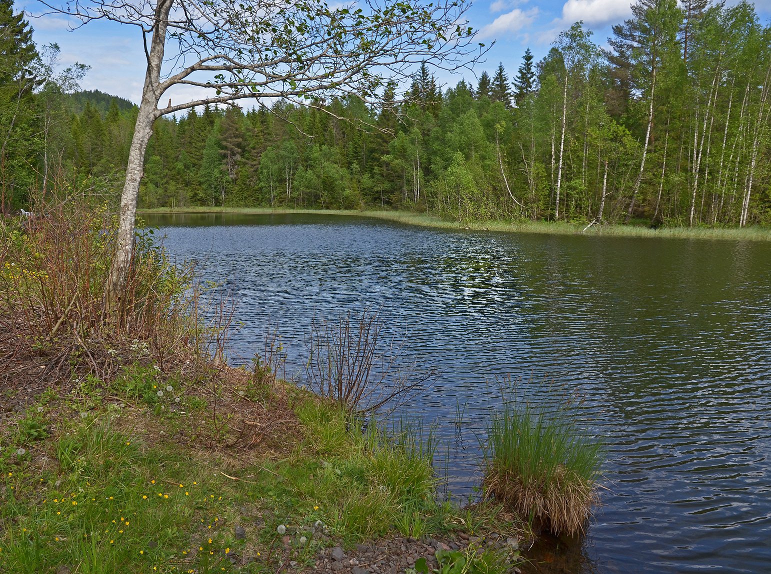 Tranevann – en idyll under Raufjellet