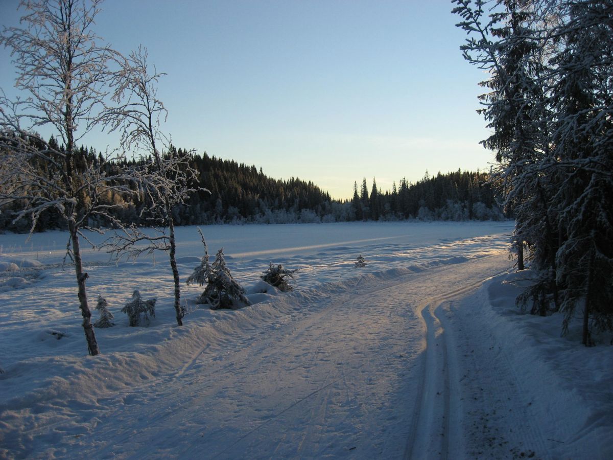 Trantjern nord i Marka