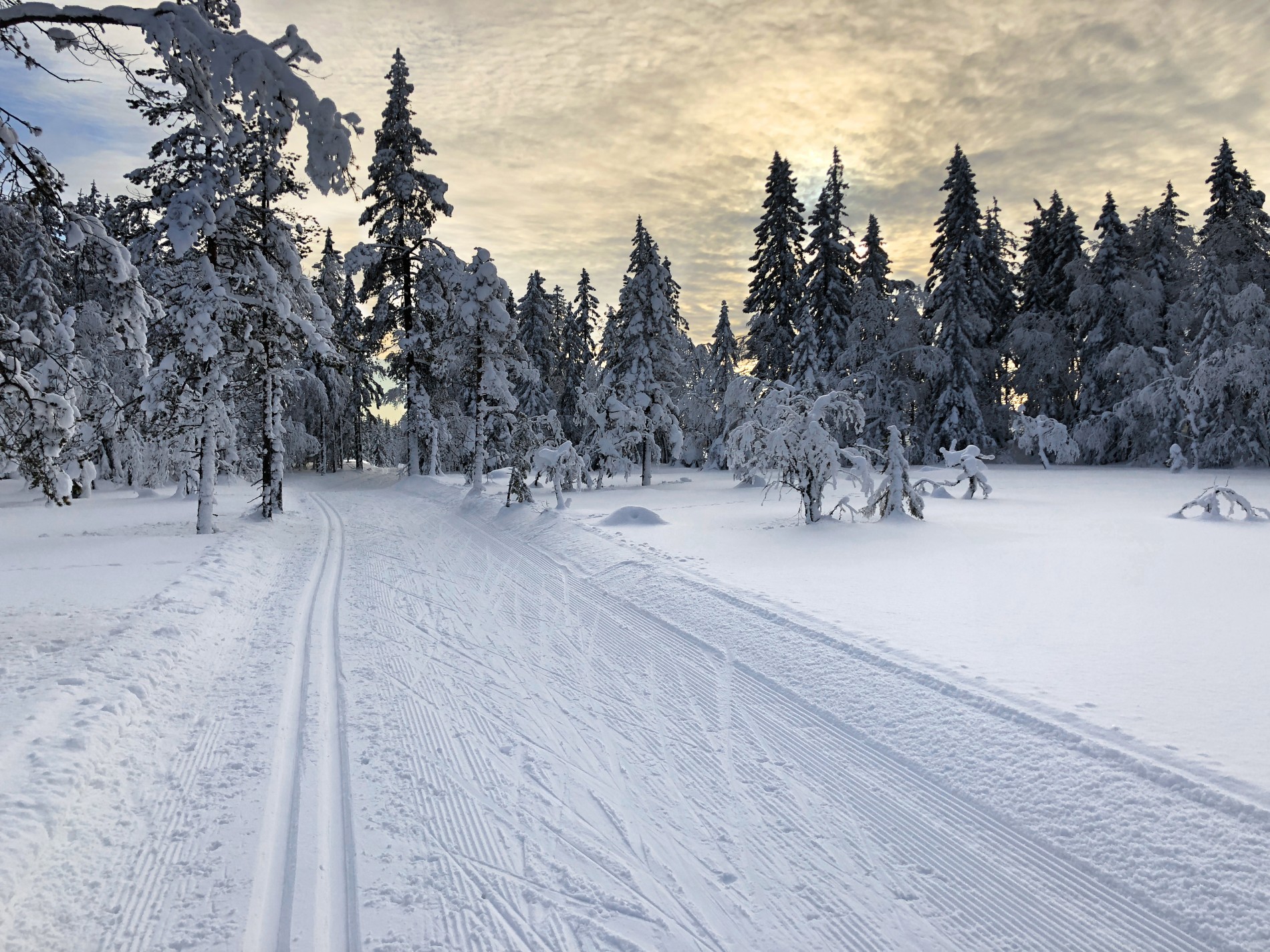 Traseen mot Finneflak