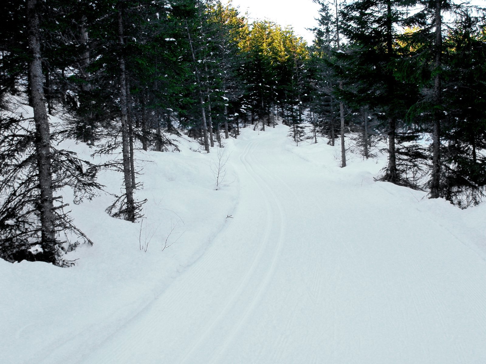 Traseen mot Jøndalsvangen