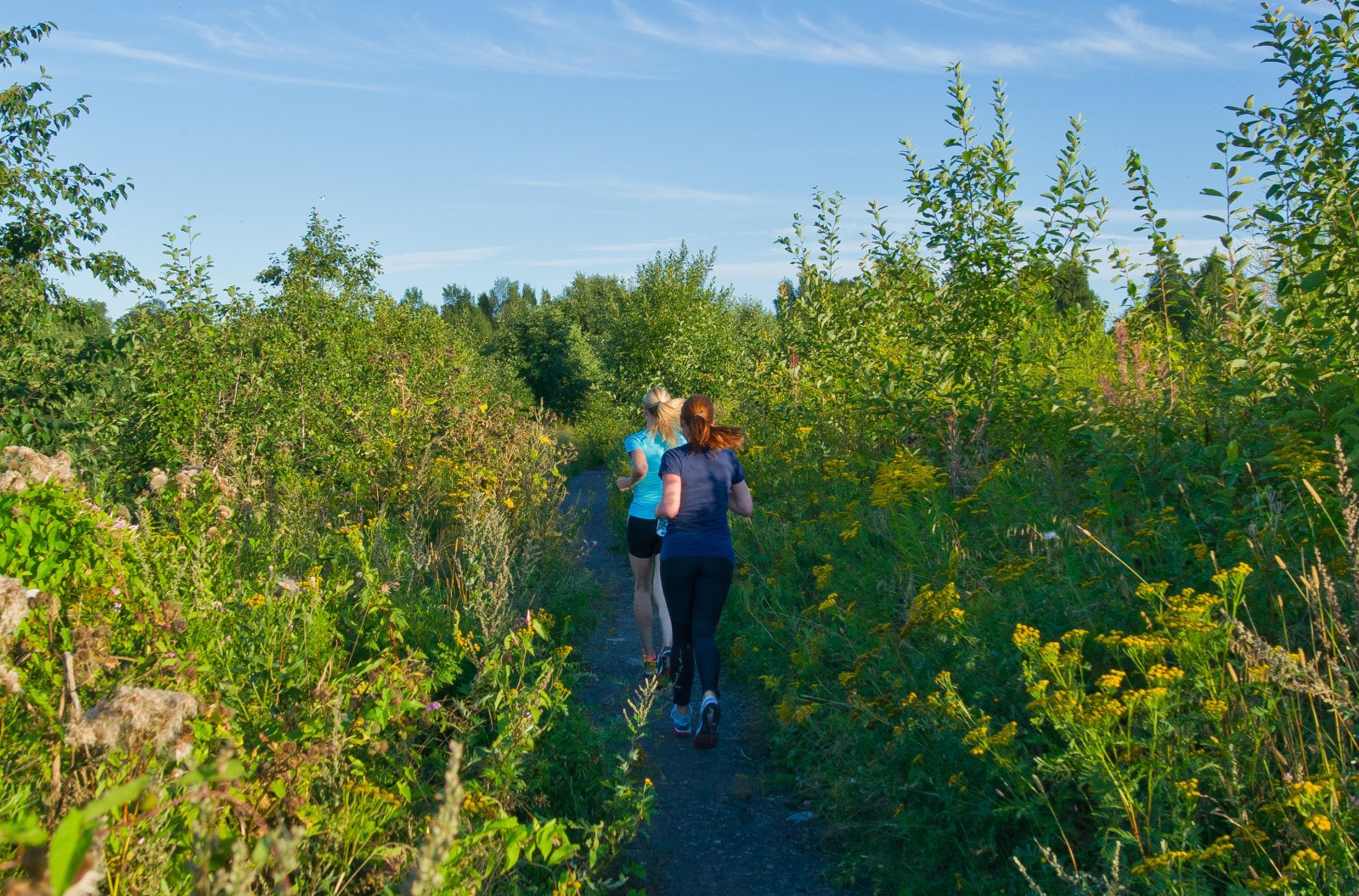 Trening i grønne omgivelser